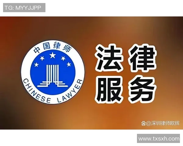 姚明莉律师：为您解读法律难题与维权之路的专业指南