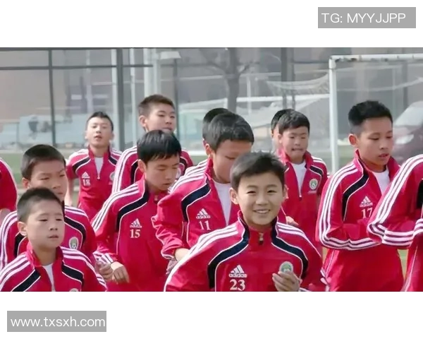 中国足球职业化进程中的挑战与机遇探讨及未来发展方向分析