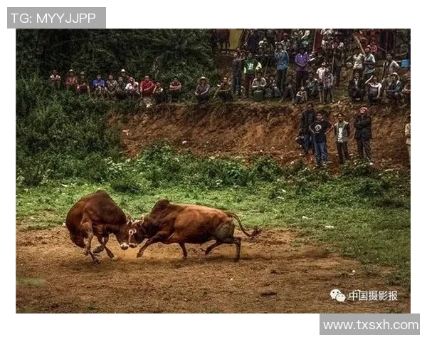 篮球明星转场视频揭秘他们背后的故事与精彩瞬间 篮球明星转场视频揭秘他们背后的故事与精彩瞬间